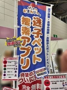 迷子になったペット捜索アプリのコーナー