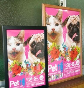 Pet博2023大阪のポスターとチラシ