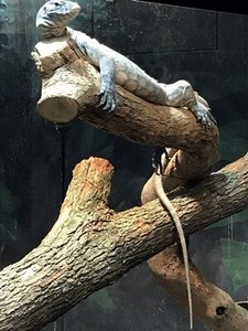 �ȥ�������