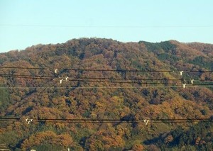 12月3日の生駒山の紅葉