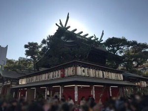 ���ܽ�������