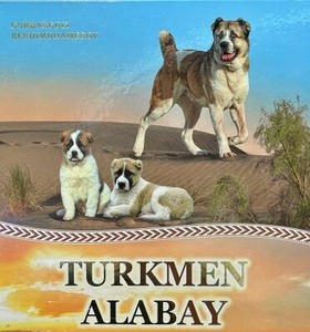 トルクメニスタンの国犬アラバイを紹介する本