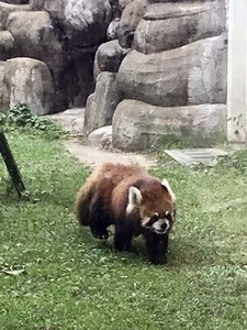 ��å����ѥ������