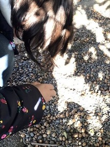 ������ҤΥɥ󥰥�