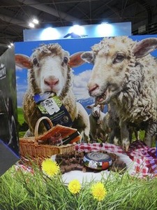 海外フードメーカーのフォトスポットエリア