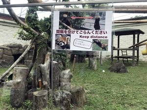 ��å����ѥ���Υ��������ǥ������󥹴���