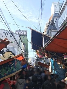 �������뺣�ܽ��ؤλ�ƻ�Ȳ���