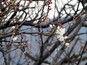 �餭�Ϥ᤿����2021ǯ