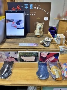 写真から作ってもらえる犬の形の牛革製キーケース
