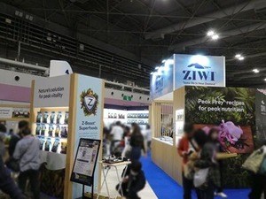 海外フードブース1