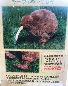 �緿�Υ������Τ̤�����ߤ���������