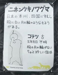 �ĥ��Υ殺�ޤ�����