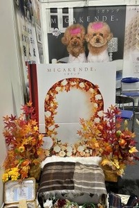 ペット用歯ブラシのブース