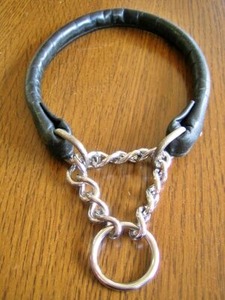 お直し加工後のしし丸君のハーフチョーク首輪