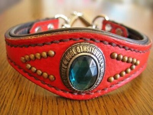 お直し加工したハーフチョーク首輪（朱色）