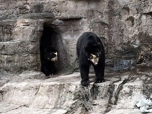 �ᥬ�ͥ��ޤ���