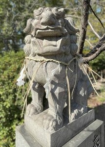 堀越神社の獅子さん（2025年お正月）