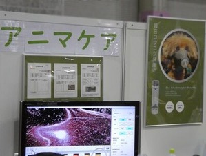 毛細血管の画像