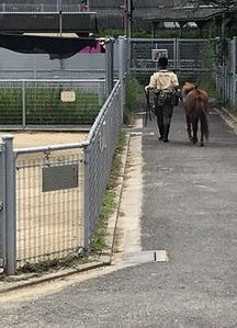 �������������Ϥ���1