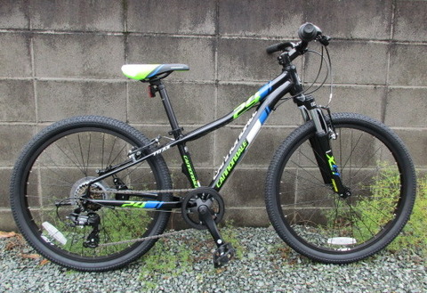 trail 24 boys