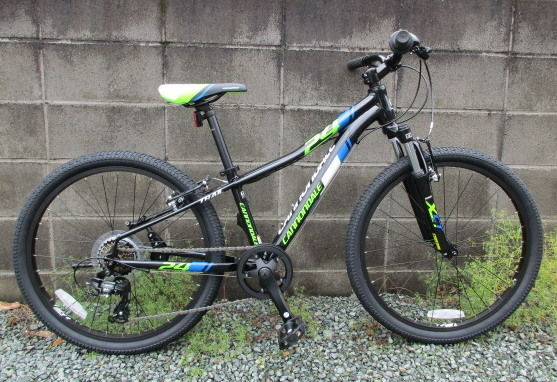 cannondale 24 trail