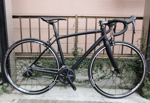 rl6 equipe