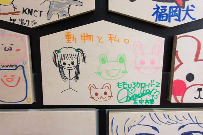 DSC06012