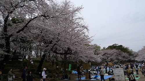 P1020004