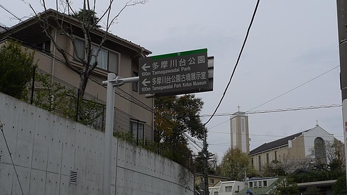 花見会場