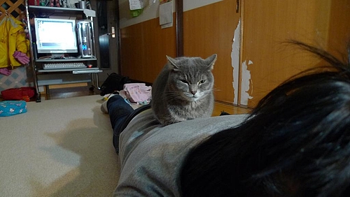 のってる