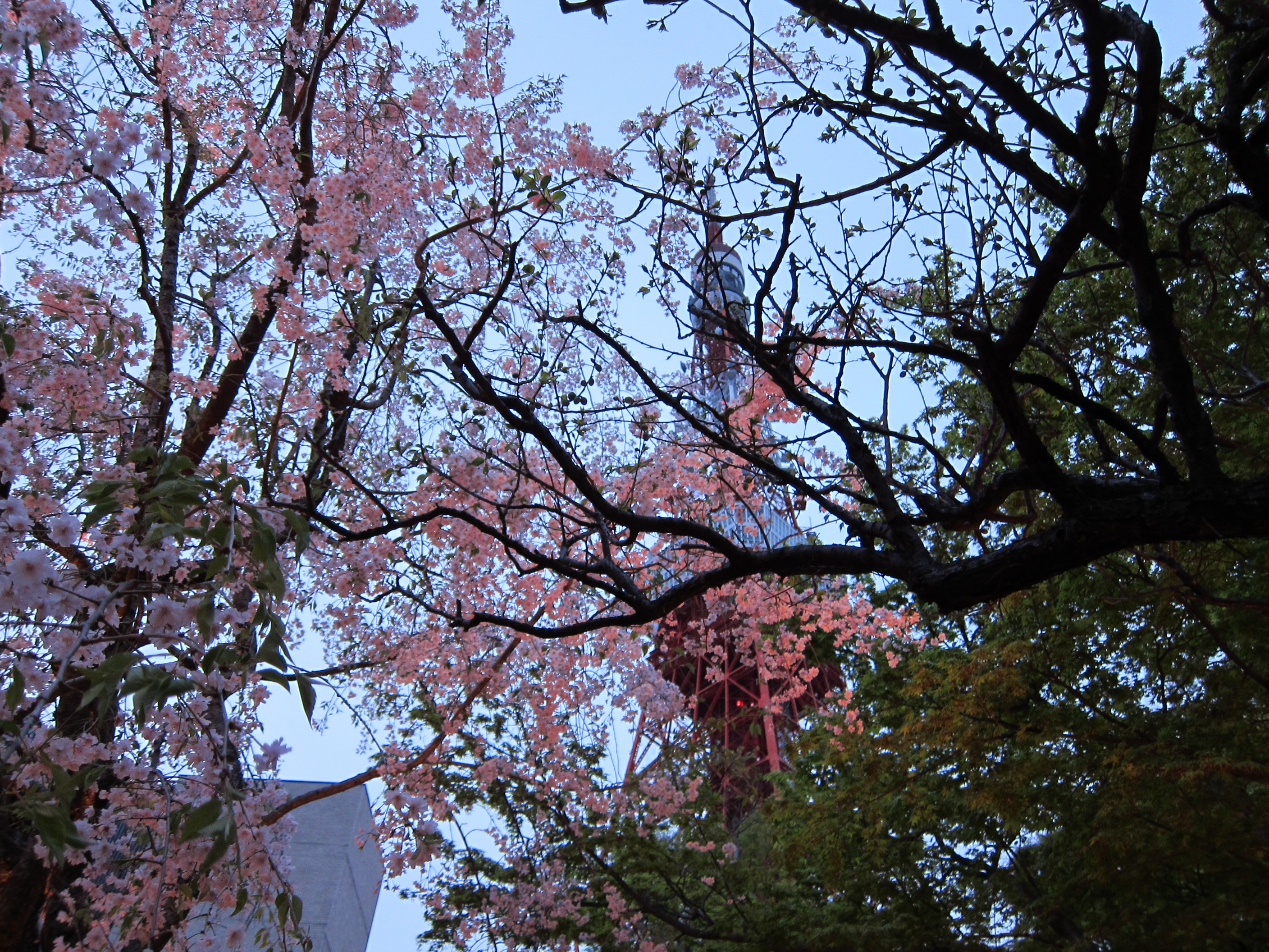 東京で結納するなら超オススメ 東京タワー下の とうふ屋 うかい 941 Blog