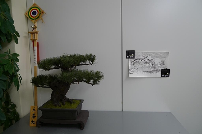 P1050849