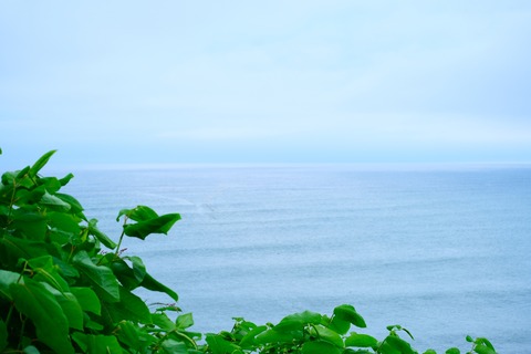 2022_0710_16540400