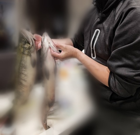 Point Blur_20221015_073355