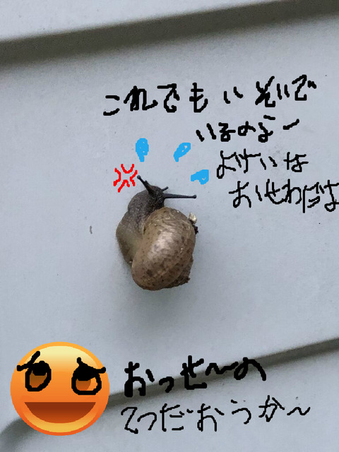 虫 こんにちは いもこです