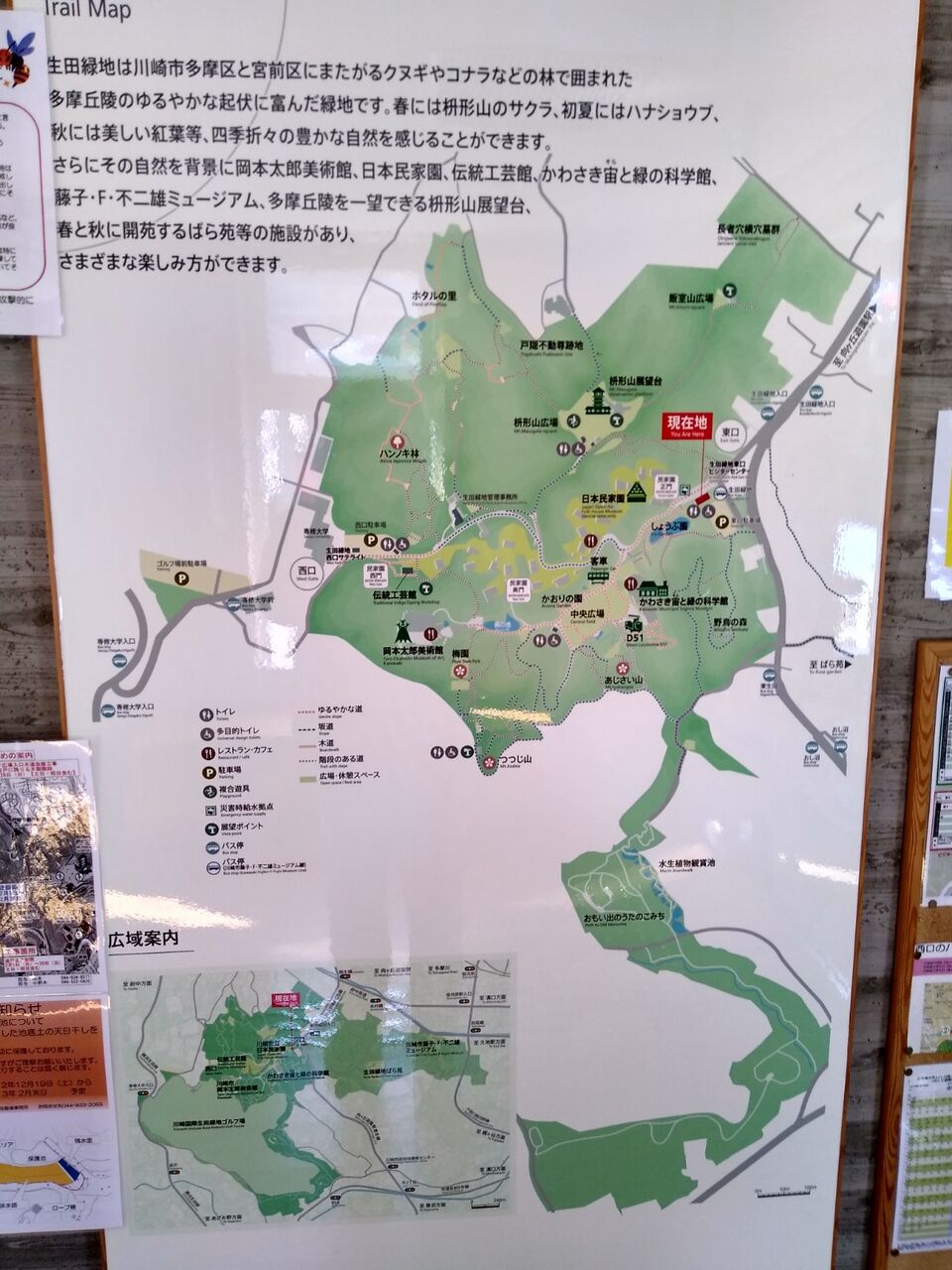 生田緑地 神奈川県川崎市多摩区 東京近郊公園緑地 行って見た