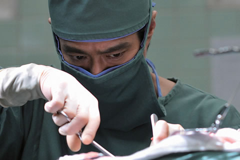 オスプレイオスプレイうるさいからメスプレイの画像くれ クソコイ クソスレに恋して