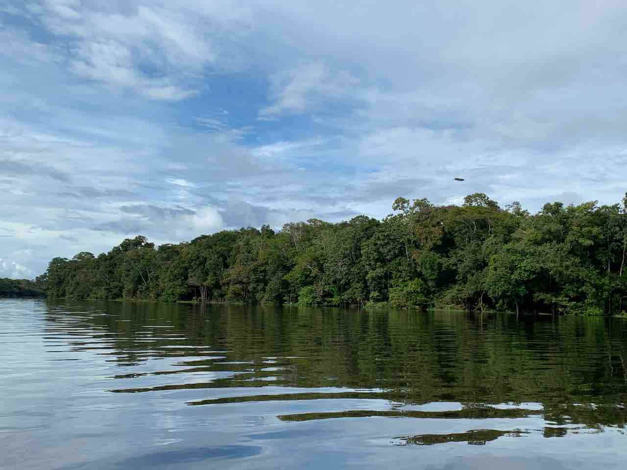 ブラジル アマゾン川で泳ぐ 酔う子のユーラシア大陸お散歩ログ