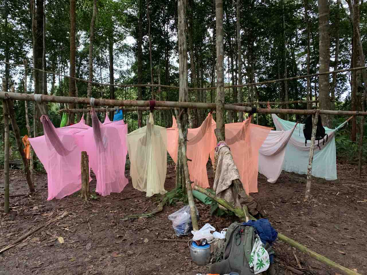 ブラジル アマゾン川でキャンプする 酔う子のユーラシア大陸お散歩ログ ブラジル アマゾン川でキャンプする 酔う子のユーラシア大陸お散歩ログ
