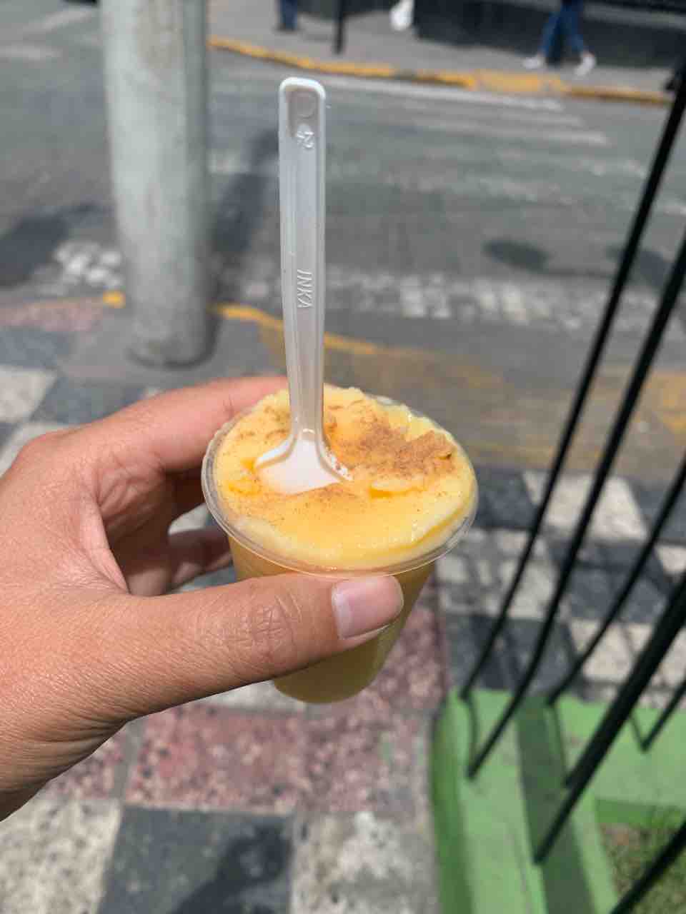 ペルー アレキパ名物チーズアイス 酔う子のユーラシア大陸お散歩ログ ペルー アレキパ名物チーズアイス 酔う子のユーラシア大陸お散歩ログ