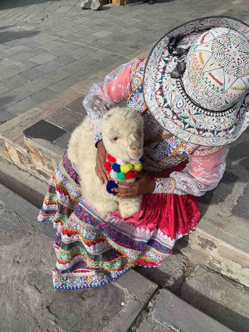 ペルー アルパカをモフる 酔う子のユーラシア大陸お散歩ログ