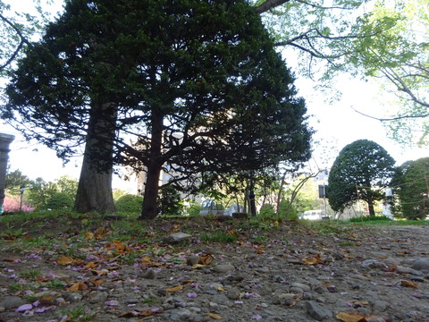 DSC03533