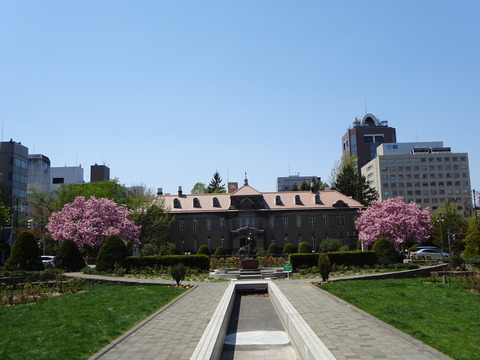 DSC03501