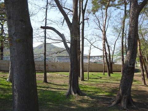 DSC03521