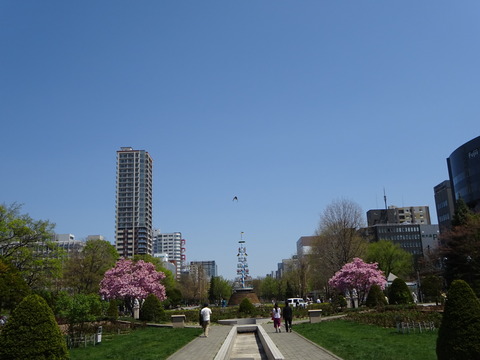 DSC03502
