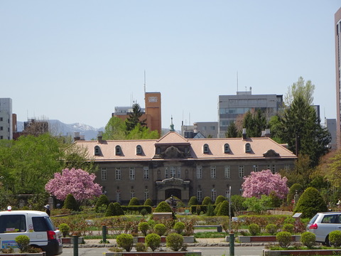 DSC03495