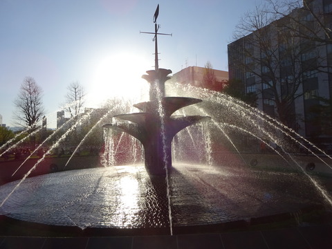 DSC03536