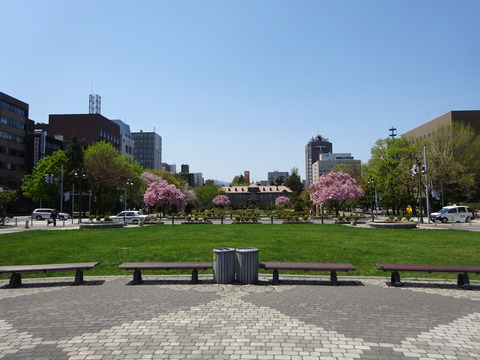 DSC03494