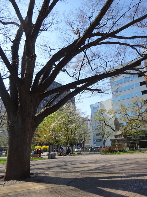 DSC03489