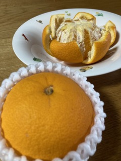 八朔